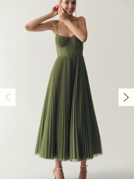 Anthropologie Dresses & Skirts - Hutch Amara Corset Pleated Tulle Fit & Flare Midi Dress